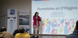 Científicos chilenos buscan convertir humedales en laboratorios naturales