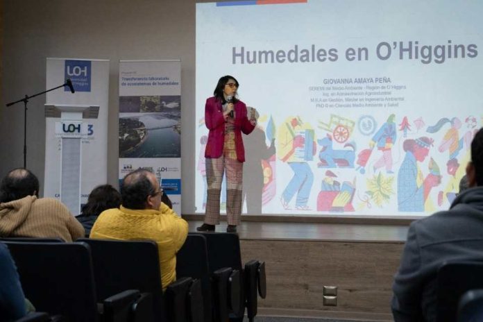 Científicos chilenos buscan convertir humedales en laboratorios naturales