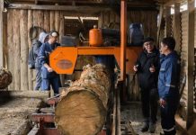 Corfo Aysén impulsa el crecimiento del sector forestal mediante capacitación técnica y promoción de la innovación