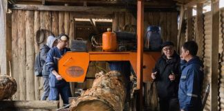 Corfo Aysén impulsa el crecimiento del sector forestal mediante capacitación técnica y promoción de la innovación