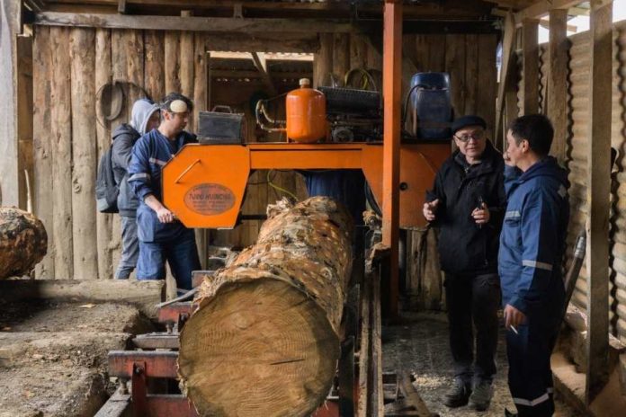 Corfo Aysén impulsa el crecimiento del sector forestal mediante capacitación técnica y promoción de la innovación