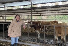 Economía circular se prueba en forma exitosa en solución tecnológica para la industria quesera rural