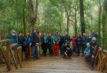 En 40% aumentaron las postulaciones y superficies a manejar en bosque nativo