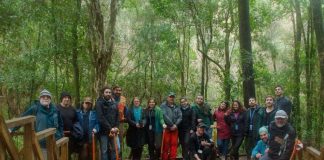 En 40% aumentaron las postulaciones y superficies a manejar en bosque nativo