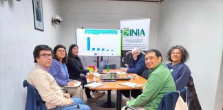 En Ñuble: INIA impulsa prácticas sostenibles alternativas al uso del fuego en sector silvoagropecuario