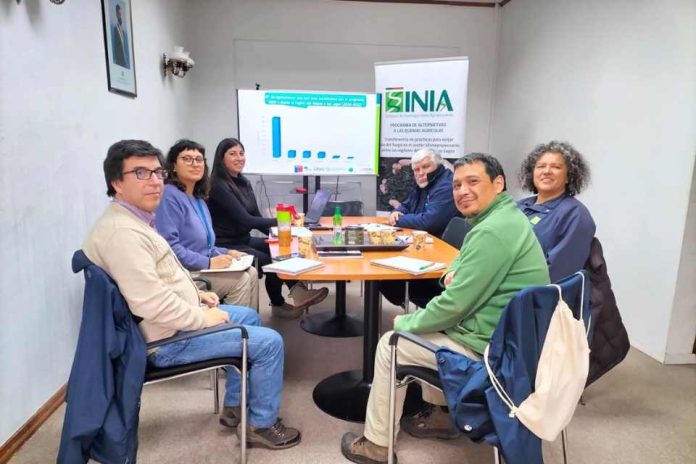 En Ñuble: INIA impulsa prácticas sostenibles alternativas al uso del fuego en sector silvoagropecuario