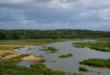 Expertos entregan recomendaciones sobre recuperación agrícola tras impacto de inundaciones en la zona centro-sur