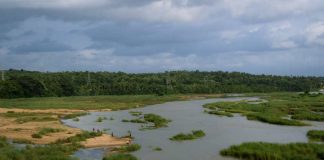 Expertos entregan recomendaciones sobre recuperación agrícola tras impacto de inundaciones en la zona centro-sur