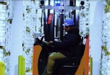 IceStar continúa creciendo en Chile: construirá planta en Coronel cuya inversión implica cerca de US$ 30 millones