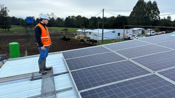 Inauguran proyecto de Energías Renovables en Los Muermos para impulsar la agricultura local sostenible