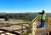 Infraestructura para procesos productivos: Proindar diseña nuevos servicios de grating para el sector forestal
