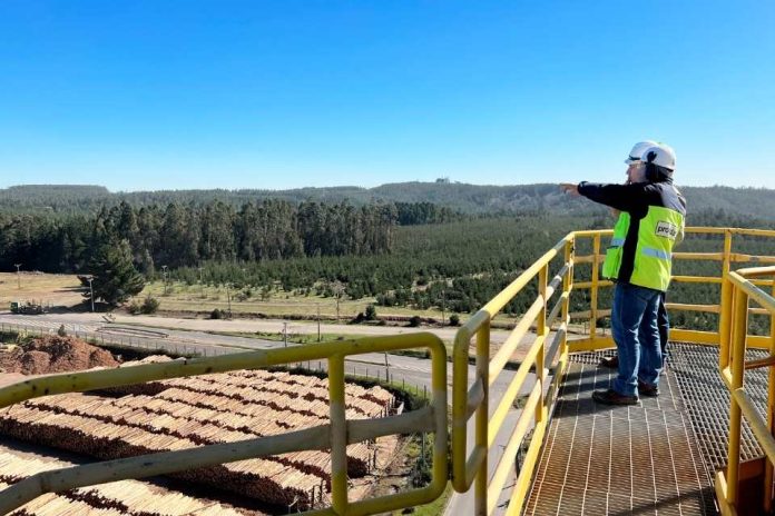 Infraestructura para procesos productivos: Proindar diseña nuevos servicios de grating para el sector forestal