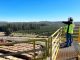 Infraestructura para procesos productivos: Proindar diseña nuevos servicios de grating para el sector forestal