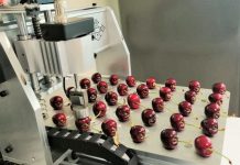 Investigadores de INIA mostrarán avances que optimizan la gestión de cosecha en cerezas de exportación