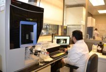 La Importancia de los Análisis Foliares para el Éxito en el Cultivo de Cerezos