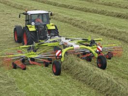 “La clave está en no descuidar ninguno de los distintos procesos productivos dentro de un campo ”