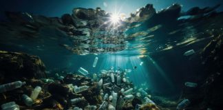 Lanzan segunda versión del “Premio ACME Chile para el Cambio Climático”