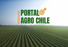Portal Agro Chile. Prensa