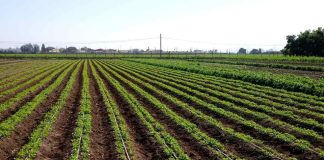 Pequeños productores de Atacama y Coquimbo podrán optimizar su gestión hídrica a través de concurso de la Comisión Nacional de Riego