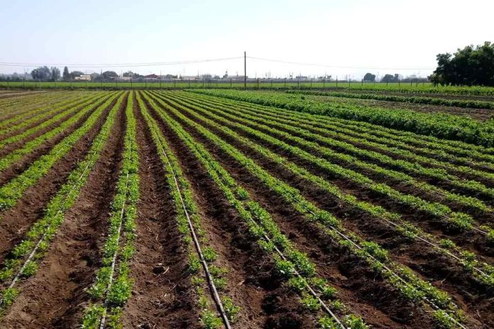 Pequeños productores de Atacama y Coquimbo podrán optimizar su gestión hídrica a través de concurso de la Comisión Nacional de Riego