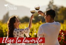 Premios Enoturismo Chile: Vota y gana por las mejores experiencias enoturísticas y  viñas emergentes más atractivas y únicas de Chile 