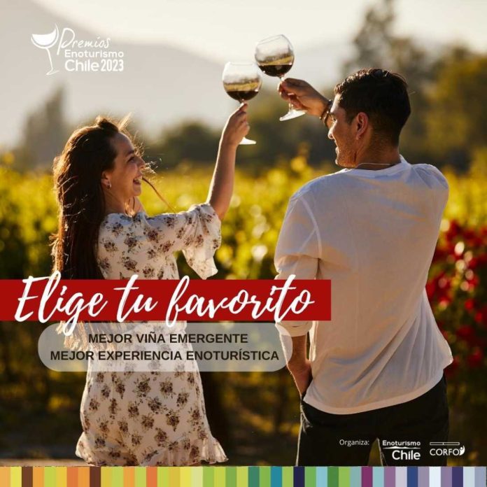 Premios Enoturismo Chile: Vota y gana por las mejores experiencias enoturísticas y  viñas emergentes más atractivas y únicas de Chile 