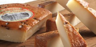 Productoras locales logran los tres primeros lugares en la Copa América del Queso en Ecuador