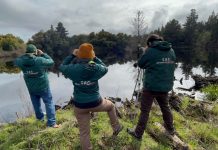 SAG Biobío caracteriza avifauna silvestre en cuerpos de agua cercanos a planteles industriales de aves de postura