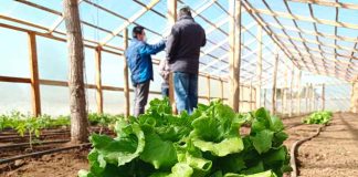 Seremi Metropolitana de Agricultura y Comisión Nacional de Riego invitan a postular a concursos para mujeres y pequeña agricultura