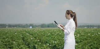 Startups Agtech presentarán casos de éxito en conferencia CfiAgrotech 202