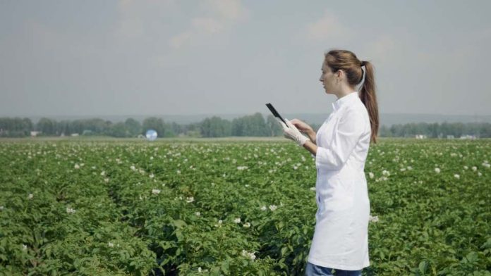 Startups Agtech presentarán casos de éxito en conferencia CfiAgrotech 202