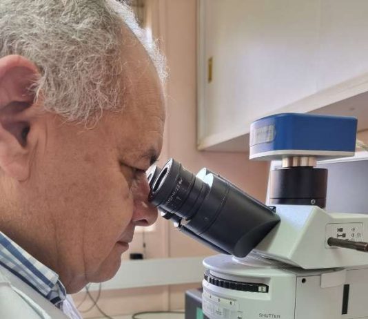 Un gran avance en la detección de la hidatidosis en Aysén