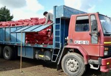 Usuarios del Prodesal de Los Álamos realizaron venta de papas a pequeños agricultores de Hualqui