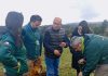 Valoran aprobación de recursos para el manejo del gusano blanco