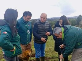 Valoran aprobación de recursos para el manejo del gusano blanco