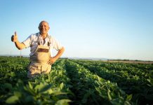 Adecco | Asegura tu éxito en la temporada: Descubre cómo la externalización de personal agro puede ayudarte