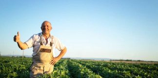 Adecco | Asegura tu éxito en la temporada: Descubre cómo la externalización de personal agro puede ayudarte
