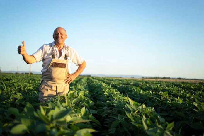 Adecco | Asegura tu éxito en la temporada: Descubre cómo la externalización de personal agro puede ayudarte