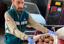 SAG ha interceptado más de 77 toneladas de papas que ingresan de manera ilegal al país