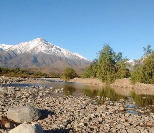 ¿Es posible hacer de la Región de Valparaíso un líder global en sustentabilidad frutícola y agrícola?