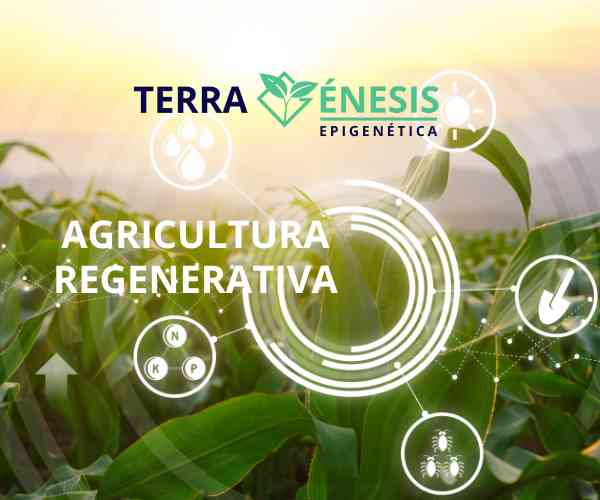 AGRICULTURA REGENERATIVA Terragenesis