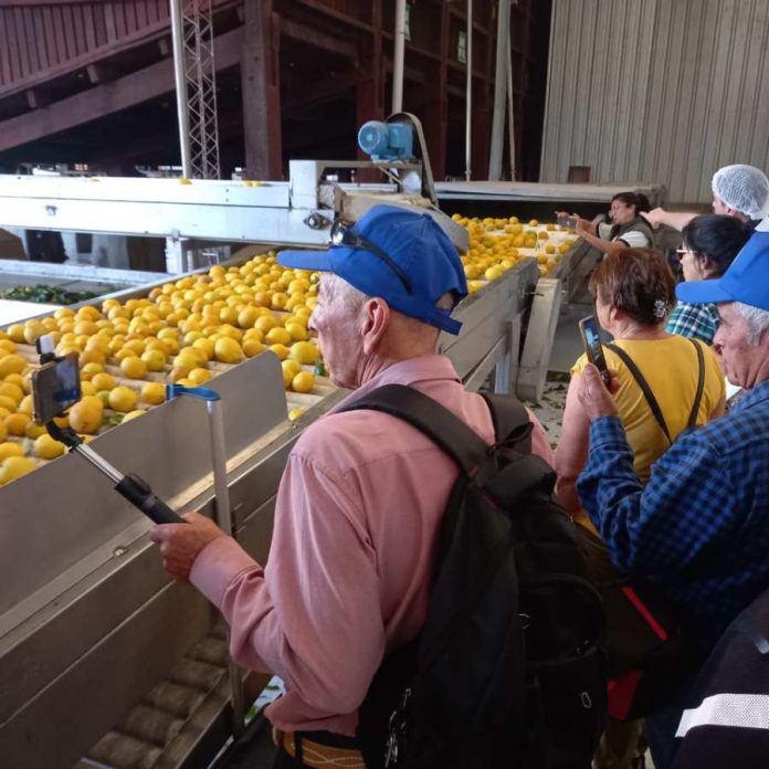 Agricultores de Punitaqui viajan a Argentina a conocer el limón de Tucumán, lideres de la citricultura trasandina 