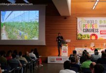 Agricultura Regenerativa, impacto del virus del rugoso, World Pepper Congress