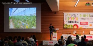 Agricultura Regenerativa, impacto del virus del rugoso, World Pepper Congress