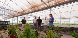 Agricultura en el Desierto