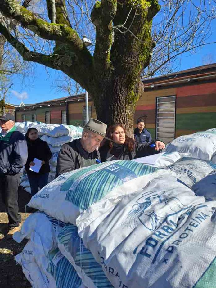Agricultura invierte casi 4 mil millones de pesos para apoyar la agricultura familiar campesina de Ñuble