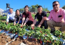 Huerto San Francisco de Quillón da nuevos frutos con sala de procesos apoyada por INDAP