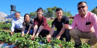 Huerto San Francisco de Quillón da nuevos frutos con sala de procesos apoyada por INDAP