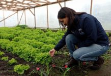 CNR invita a agricultoras de Biobío a postular a curso gratuito de la Escuela de Monitoras de Riego
