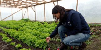 CNR invita a agricultoras de Biobío a postular a curso gratuito de la Escuela de Monitoras de Riego